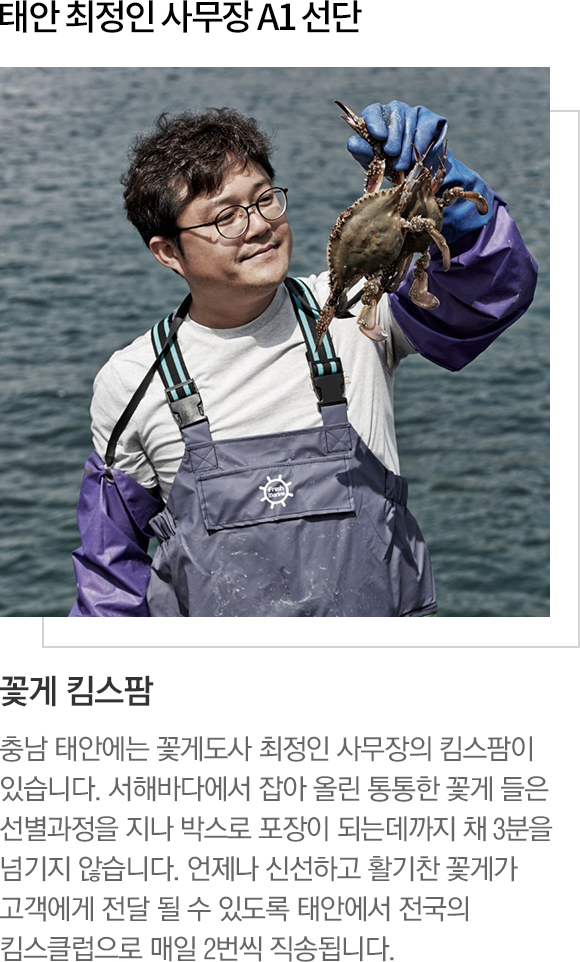 태안 최정인 사무장 A1 선단