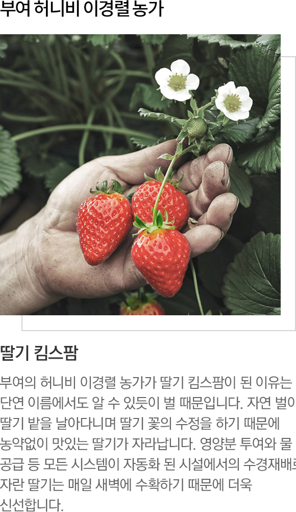 부여 허니비 이경렬 농가